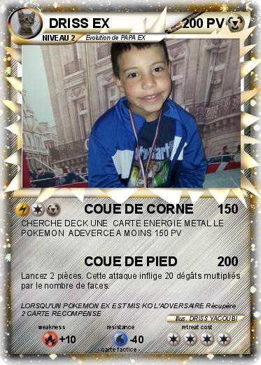 Pokemon DRISS EX