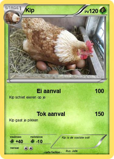 Pokemon Kip
