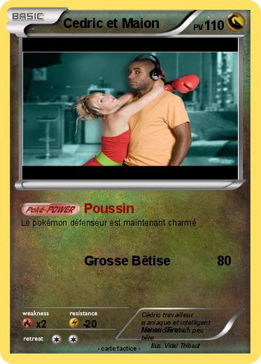 Pokemon Cedric et Maion