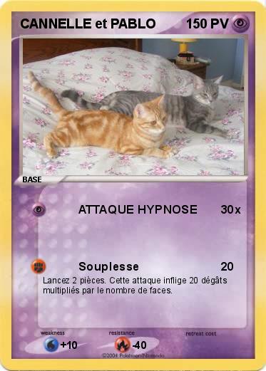 Pokemon CANNELLE et PABLO