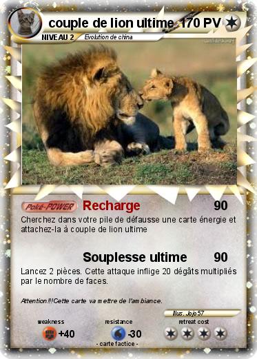 Pokemon couple de lion ultime