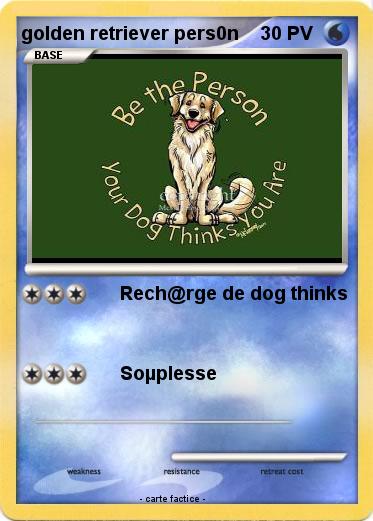 Pokemon golden retriever pers0n