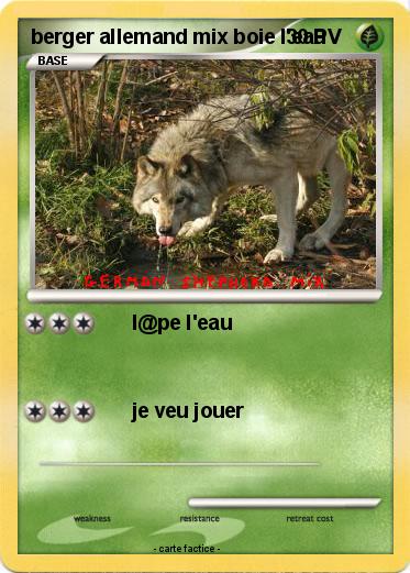 Pokemon berger allemand mix boie l'eau