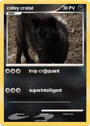 Pokemon colley croisé