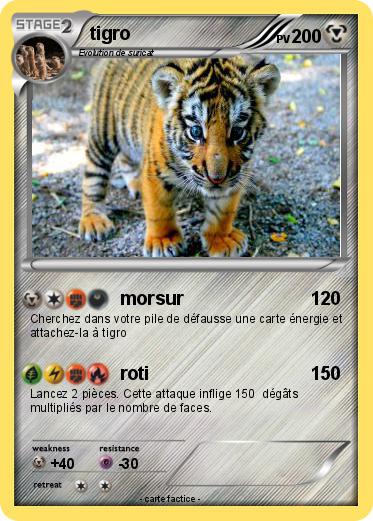 Pokemon tigro