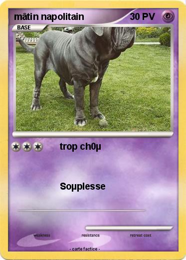 Pokemon mâtin napolitain
