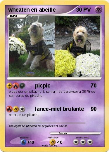 Pokemon wheaten en abeille