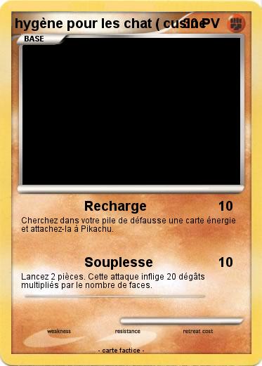 Pokemon hygène pour les chat ( cusine