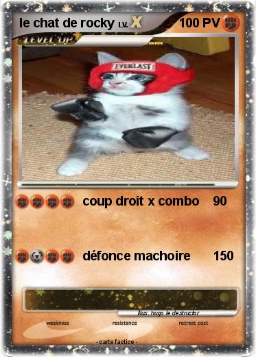 Pokemon le chat de rocky