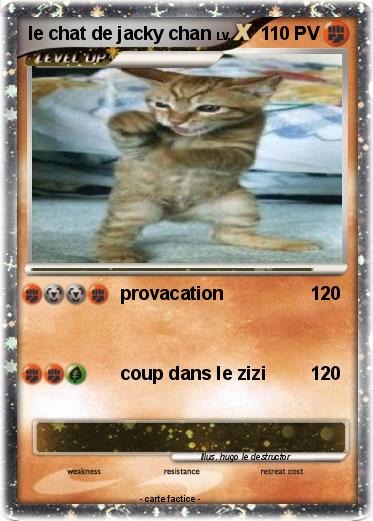Pokemon le chat de jacky chan