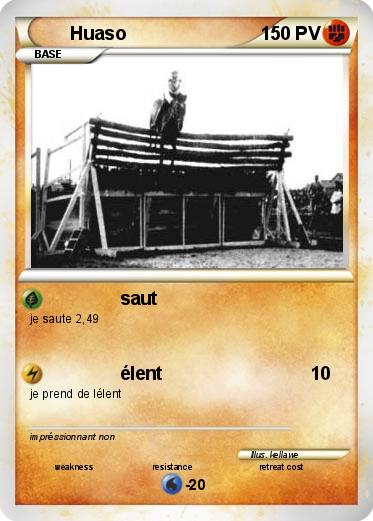 Pokemon Huaso