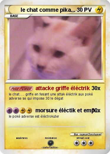 Pokemon le chat comme pika...