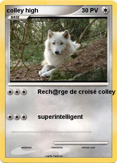 Pokemon colley high