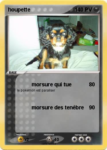 Pokemon houpette