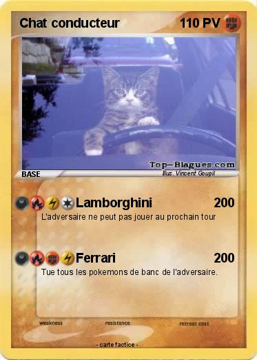 Pokemon Chat conducteur