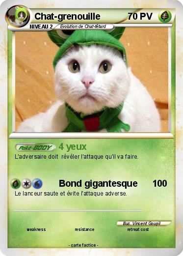 Pokemon Chat-grenouille