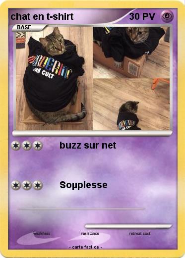 Pokemon chat en t-shirt