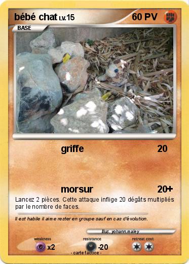 Pokemon bébé chat