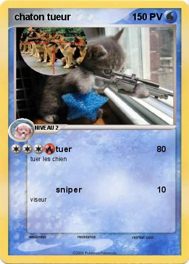 Pokemon chaton tueur