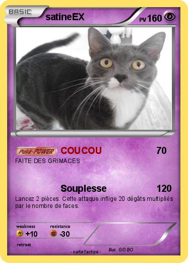 Pokemon satineEX
