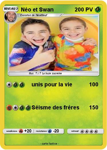 Pokemon Néo et Swan