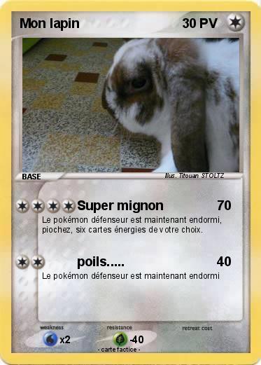Pokemon Mon lapin