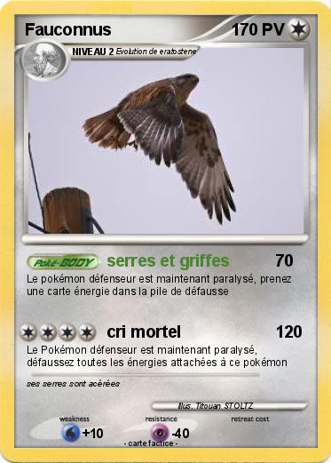 Pokemon Fauconnus