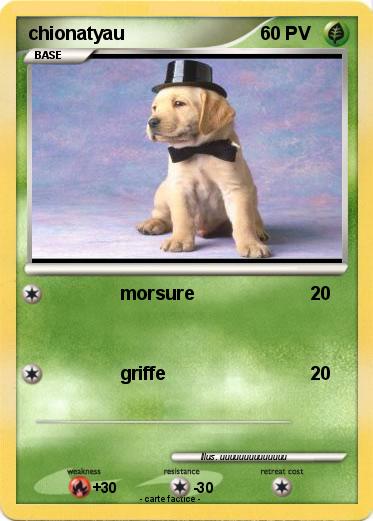 Pokemon chionatyau