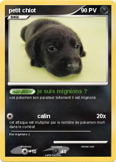 Pokemon petit chiot
