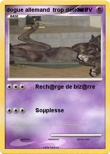 Pokemon dogue allemand  trop détendu