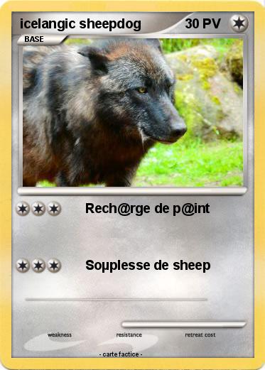 Pokemon icelangic sheepdog