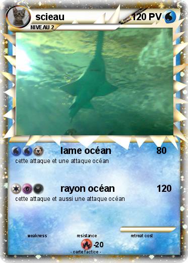 Pokemon scieau