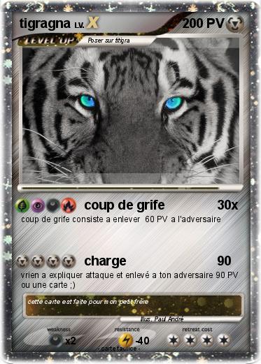 Pokemon tigragna