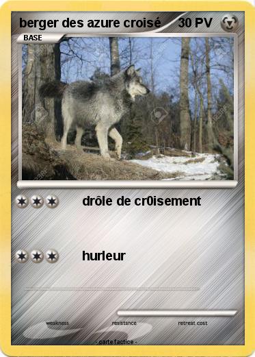 Pokemon berger des azure croisé