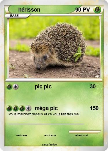 Pokemon hérisson