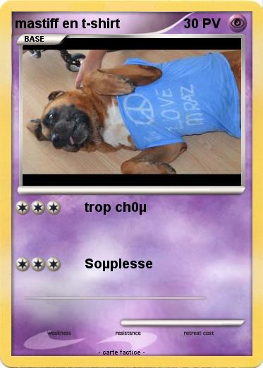 Pokemon mastiff en t-shirt