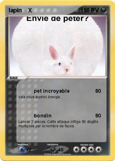 Pokemon lapin    X