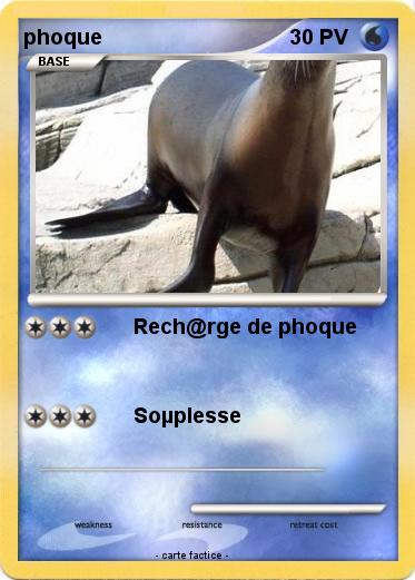 Pokemon phoque