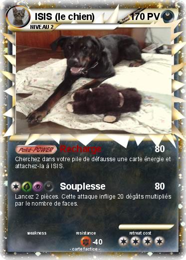 Pokemon ISIS (le chien)