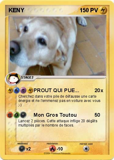 Pokemon KENY