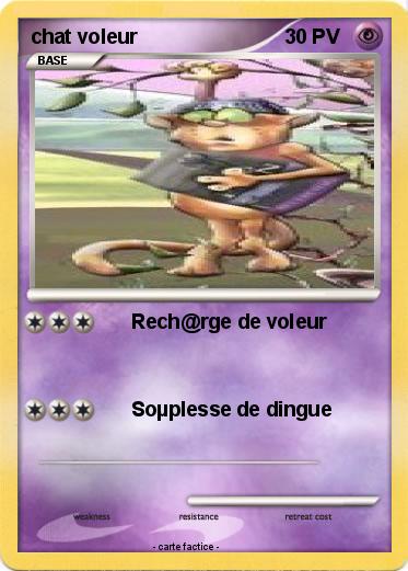 Pokemon chat voleur