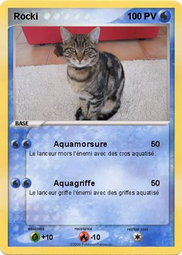 Pokemon Rocki