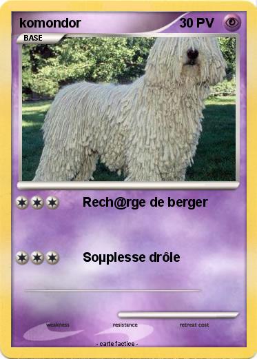 Pokemon komondor