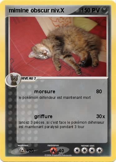 Pokemon mimine obscur niv.X