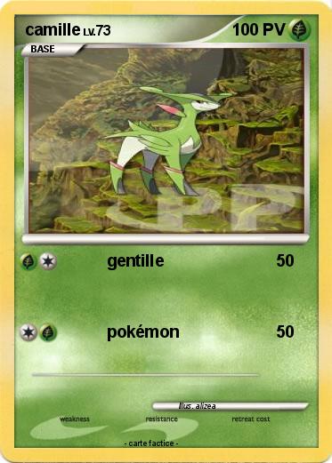 Pokemon camille