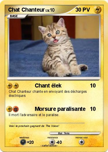 Pokemon Chat Chanteur