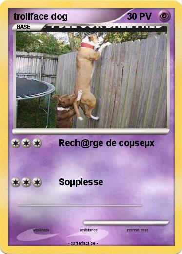 Pokemon trollface dog