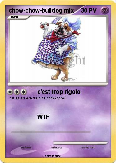 Pokemon chow-chow-bulldog mix