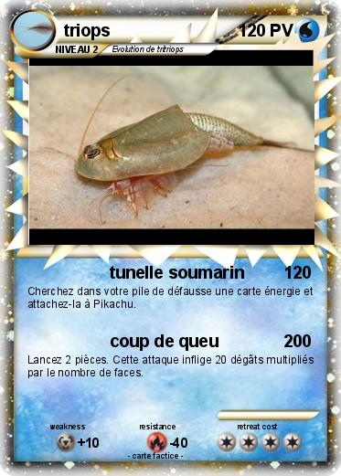 Pokemon triops