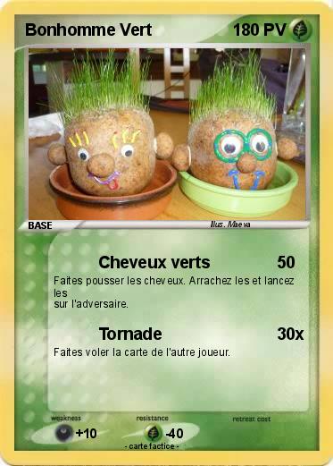 Pokemon Bonhomme Vert